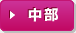 中部