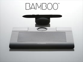 Bamboo