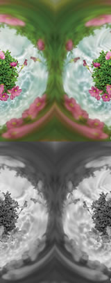 CREATIVE CASE STUDY/PHOTOGRAPHY 中村成一